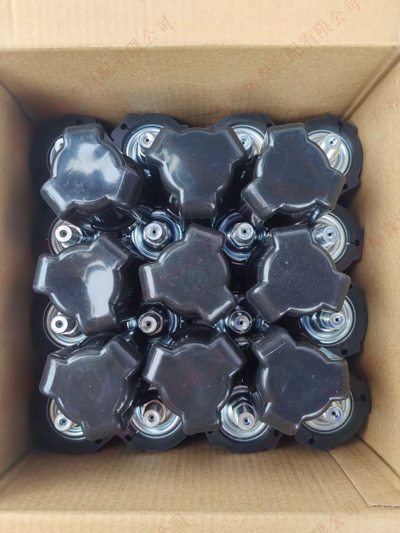 Automotive Radiator Cap